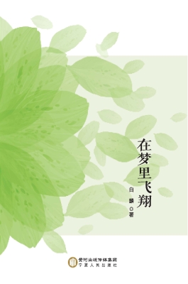 在梦里飞翔