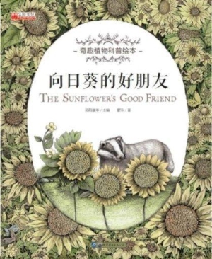 向日葵的好朋友