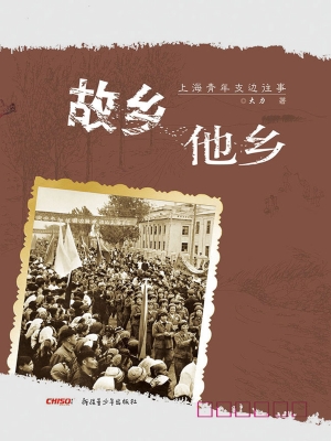 故乡他乡——上海青年
