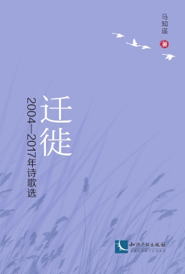 迁徙——2004—2017年