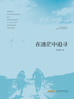 在迷茫中追寻
