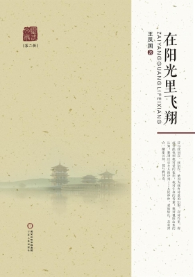 在阳光里飞翔