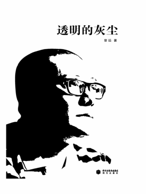 透明的灰尘