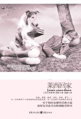 莱西回家