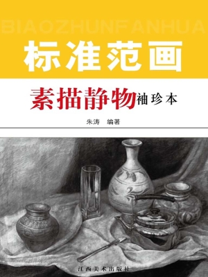 素描静物标准范画