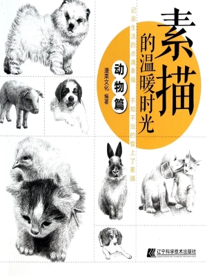 素描的温暖时光——动