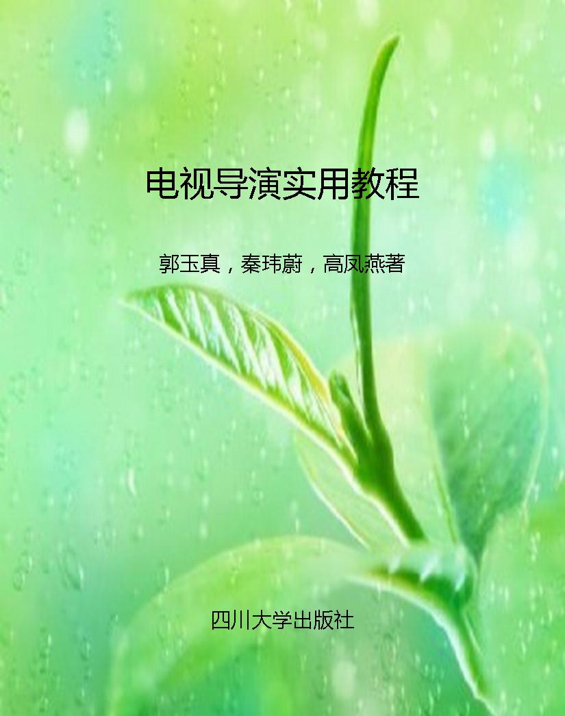 电视导演实用教程