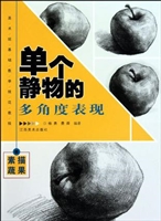 单个静物的多角度表现