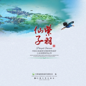 紫羽仙子
