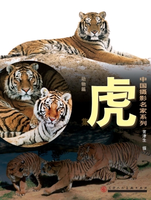 中国摄影名家系列——