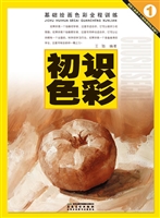 基础绘画色彩全程训练