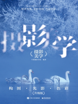 摄影美学：构图·光影·