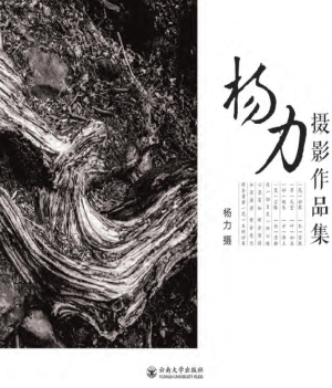 杨力摄影作品集