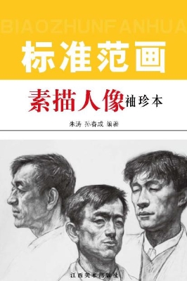 素描人像标准范画