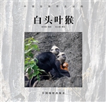 白头叶猴