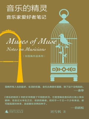 音乐的精灵：音乐家爱好