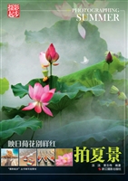 映日荷花别样红——拍