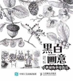 黑白画意——经典植物