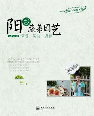 阳台蔬菜园艺