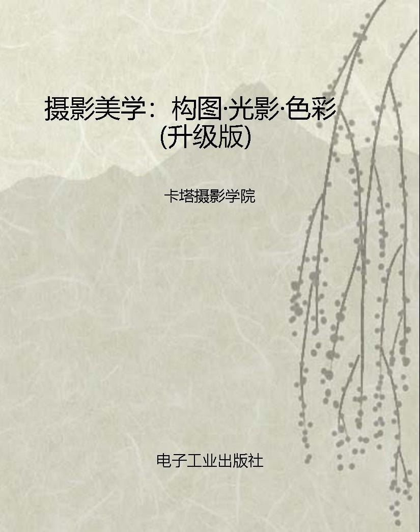 摄影美学：构图·光影·