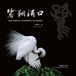 鹭翔浦口