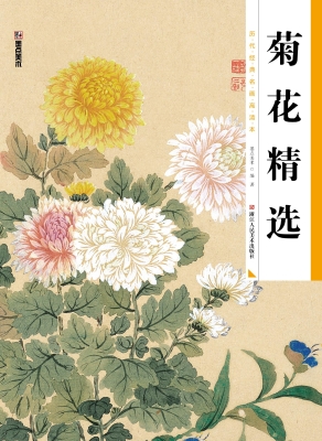 菊花精选