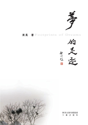 梦的足迹