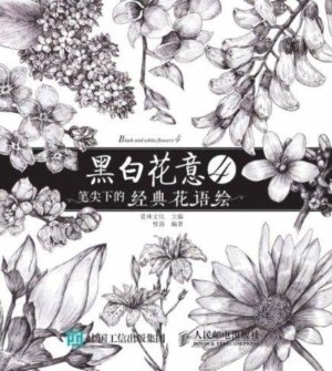黑白花意 4——笔尖下