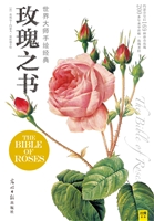 世界大师手绘经典玫瑰