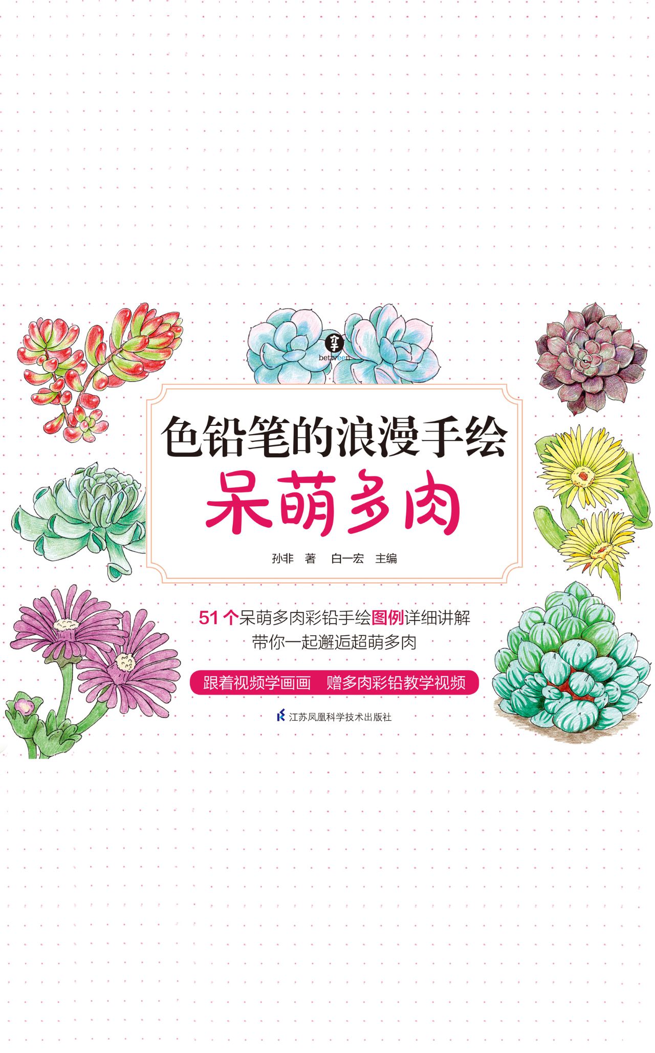 色铅笔的浪漫手绘 呆