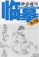 基础美术起步训练大范