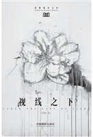 视线之下