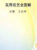 实用花艺全图解