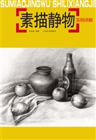 素描静物实例详解