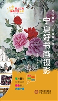 宁夏好书画摄影