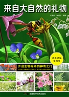 来自大自然的礼物