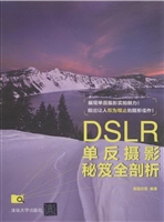 DSLR单反摄影秘笈全剖