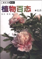 植物百态——牡丹