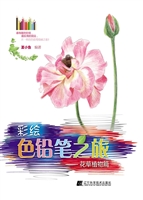 彩绘色铅笔之旅——花
