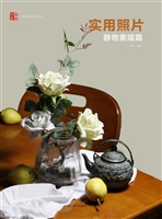 实用照片——静物素描