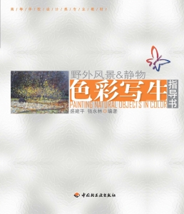色彩写生指导书