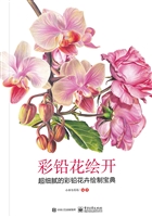 彩铅花绘开——超细腻
