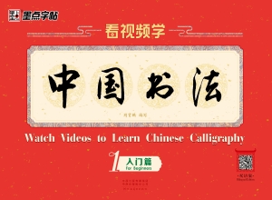 看视频学中国书法 1