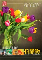 此时无声胜有声——拍