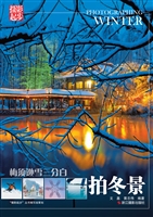 梅须逊雪三分白——拍