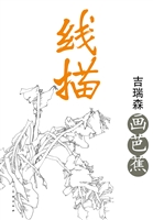 线描——吉瑞森画芭蕉