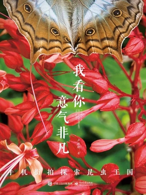 我看你意气非凡：手机街
