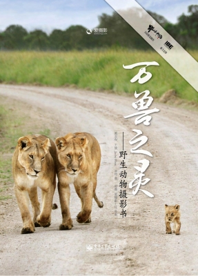 万兽之灵——野生动物