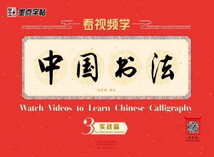 看视频学中国书法 3