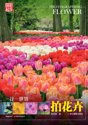 一花一世界——拍花卉